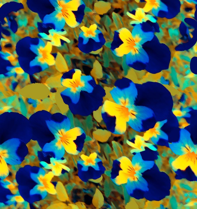 PYflowers