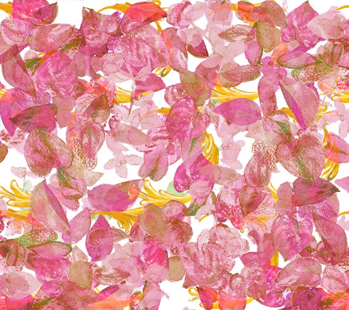 Ivy_Pink
